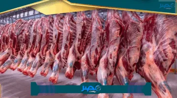 تعرّف على أسعار اللحوم اليوم الخميس 5 يونيو 2025